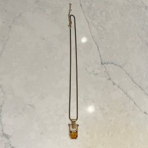 Jcrew necklace with tortoise shell design pendant